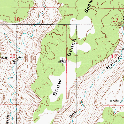 Topographic Map of Snow Bench, UT