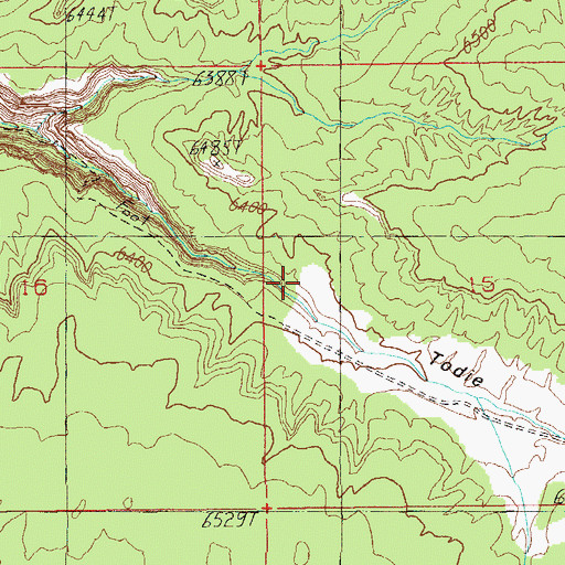 Topographic Map of Todie Spring, UT