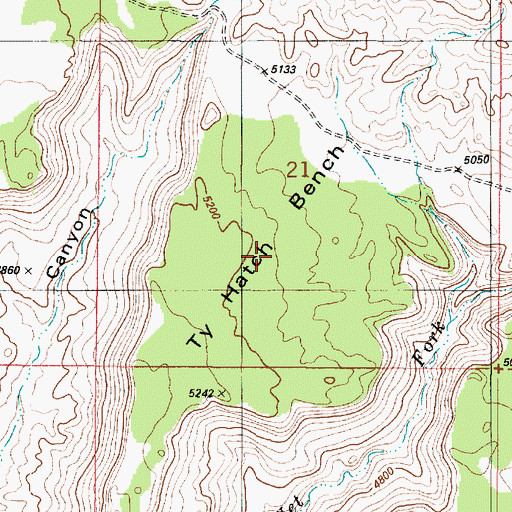 Topographic Map of Ty Hatch Bench, UT