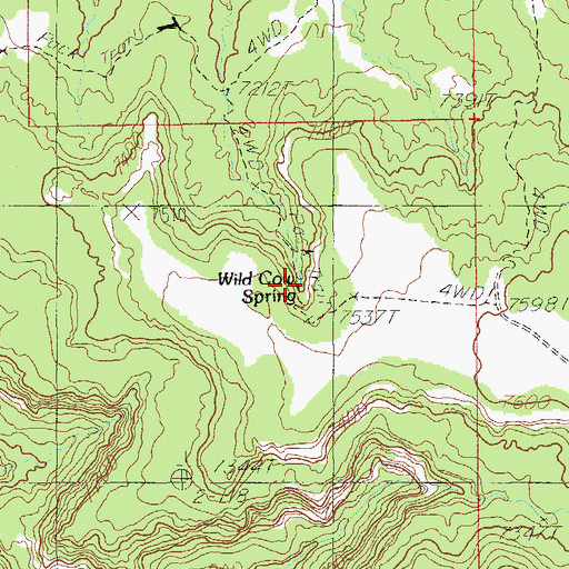 Topographic Map of Wild Cow Spring, UT