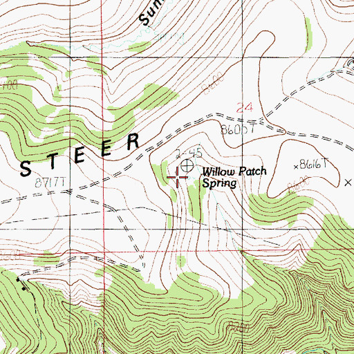 Topographic Map of Willow Patch Spring, UT