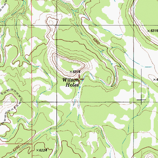Topographic Map of Wilson Hole, UT