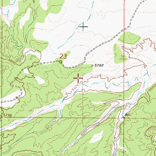 Topographic Map of Cedar Wash Arch, UT