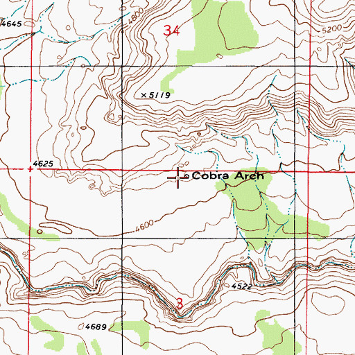 Topographic Map of Cobra Arch, UT