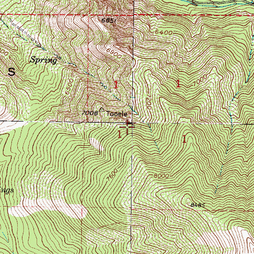 Topographic Map of Tooele Peak, UT