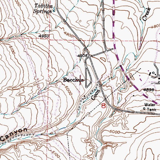 Topographic Map of Bacchus, UT