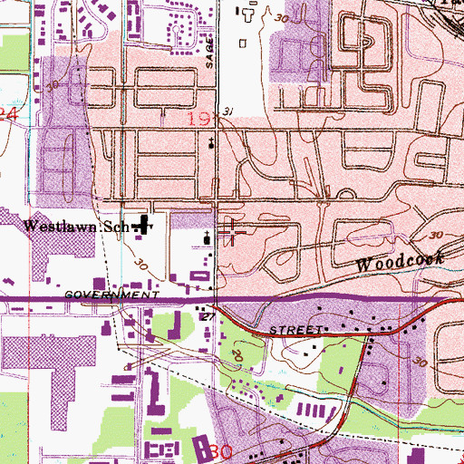 Topographic Map of Saint Pius X School, AL