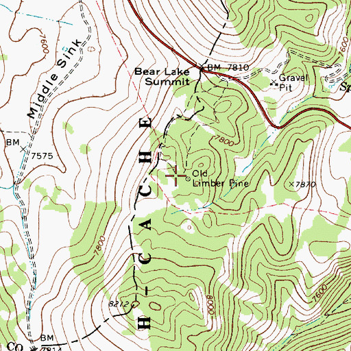 Topographic Map of Old Limber Pine, UT