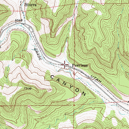 Topographic Map of Peerless, UT