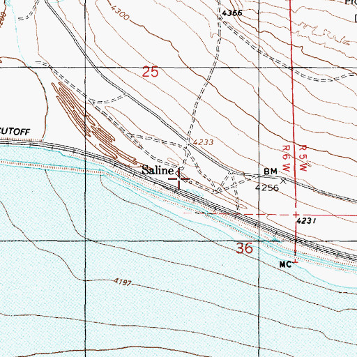 Topographic Map of Saline, UT