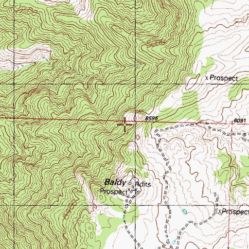 Topographic Map of Baldy, UT