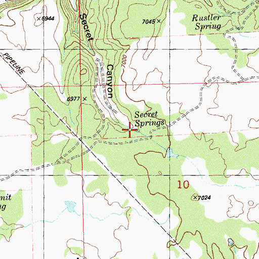 Topographic Map of Secret Springs, UT