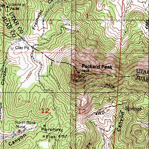 Topographic Map of Packard Peak, UT