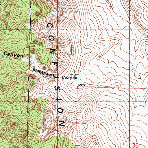 Topographic Map of Blackham Canyon, UT