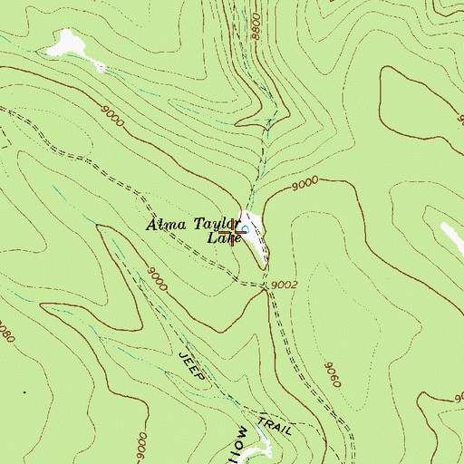 Topographic Map of Alma Taylor Lake, UT