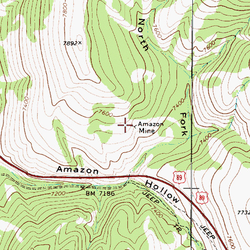 Topographic Map of Amazon Mine, UT