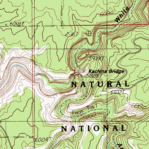 Topographic Map of Armstrong Canyon, UT