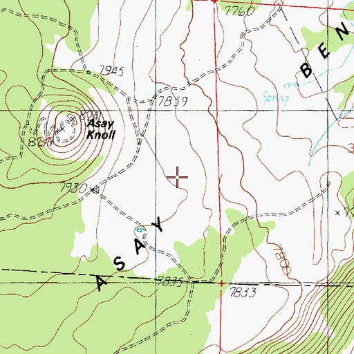Topographic Map of Asay Bench, UT