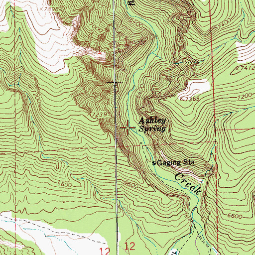 Topographic Map of Ashley Spring, UT