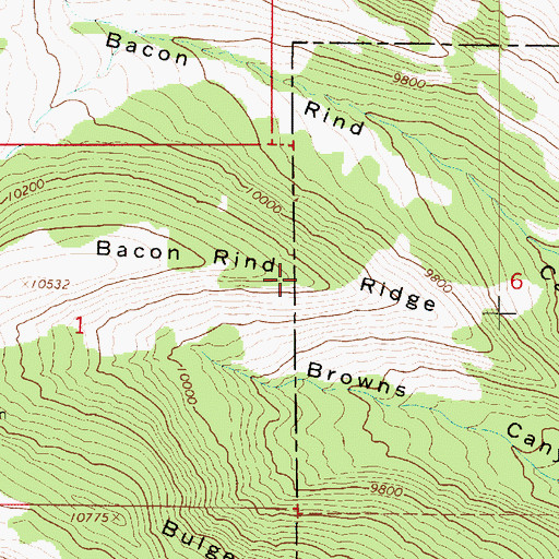 Topographic Map of Bacon Rind Ridge, UT