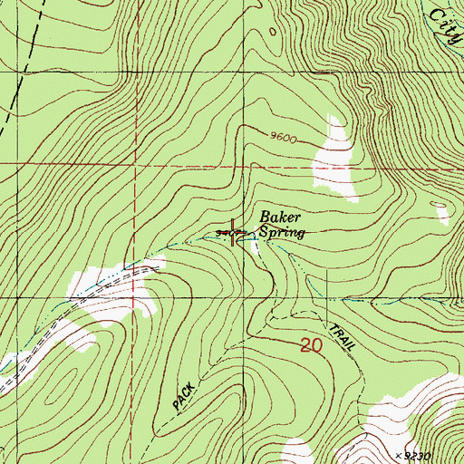 Topographic Map of Baker Spring, UT