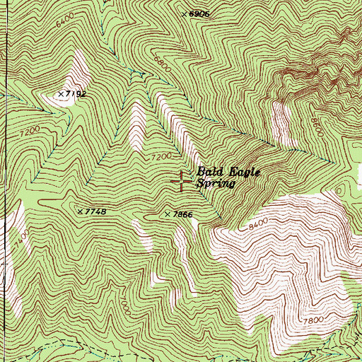 Topographic Map of Bald Eagle Spring, UT