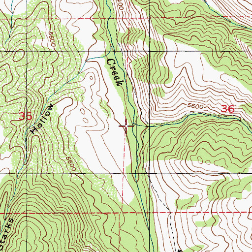 Topographic Map of Bald Head Creek, UT