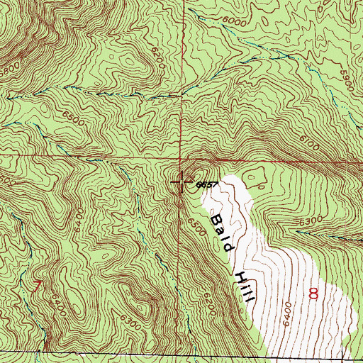 Topographic Map of Bald Hill, UT