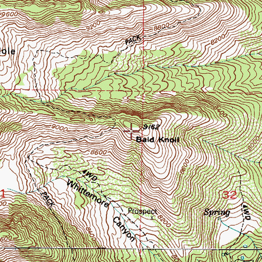 Topographic Map of Bald Knoll, UT