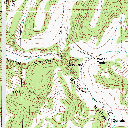 Topographic Map of Balsam Hollow, UT