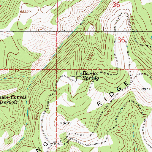 Topographic Map of Banjo Spring, UT