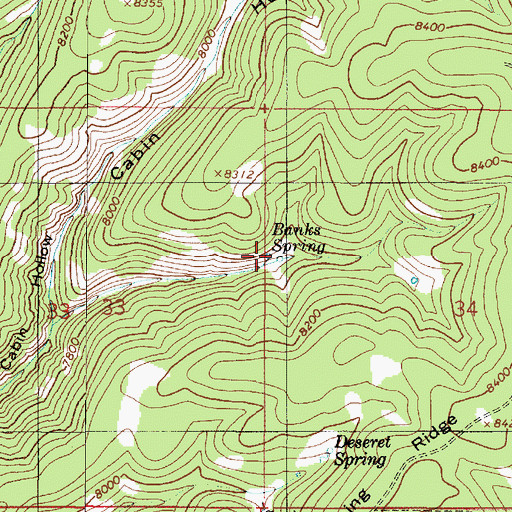 Topographic Map of Banks Spring, UT