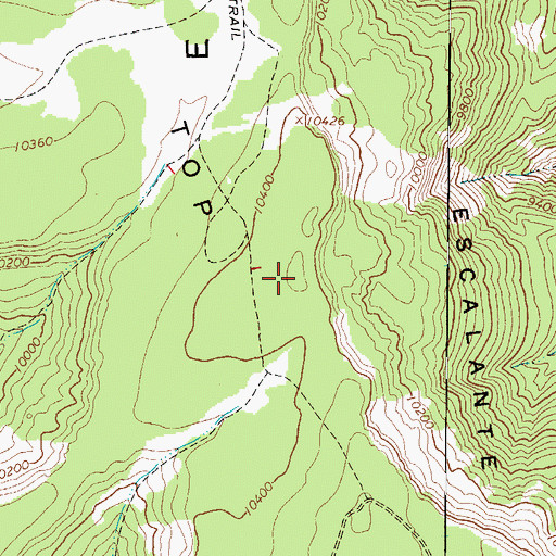 Topographic Map of Barney Top, UT