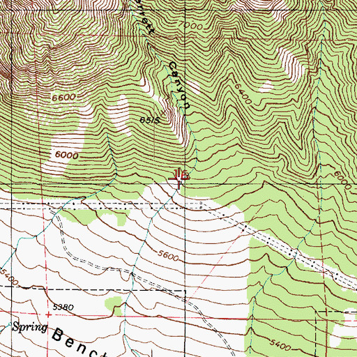 Topographic Map of Barrett Canyon, UT