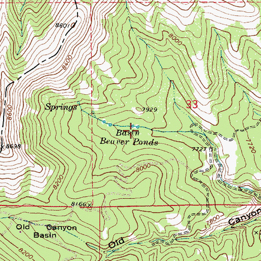 Topographic Map of Basin Beaver Ponds, UT