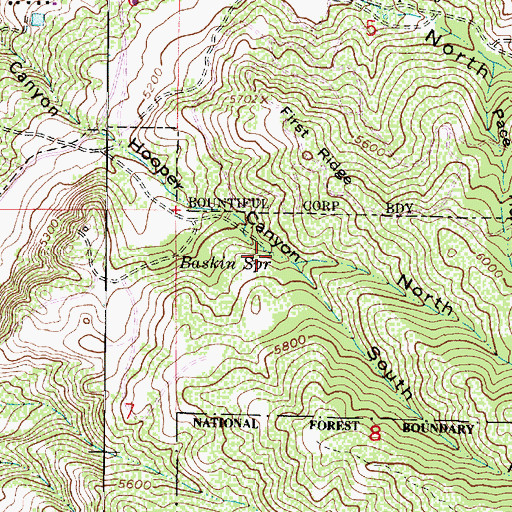 Topographic Map of Baskin Spring, UT