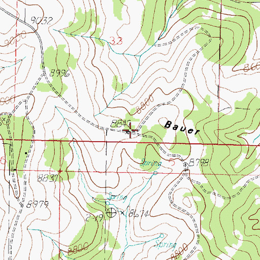 Topographic Map of Bauer Point, UT