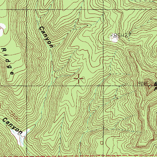 Topographic Map of Bean Canyon, UT