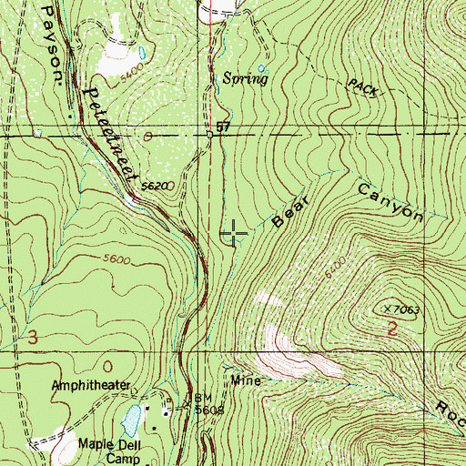 Topographic Map of Bear Canyon, UT
