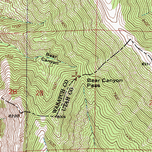 Topographic Map of Bear Canyon Pass, UT