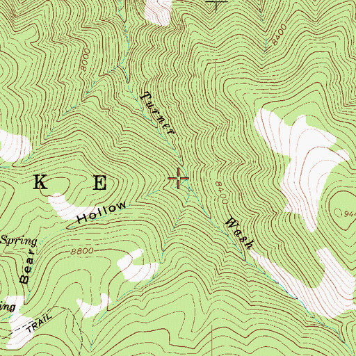 Topographic Map of Bear Hollow, UT