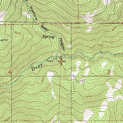 Topographic Map of Bear Hollow, UT