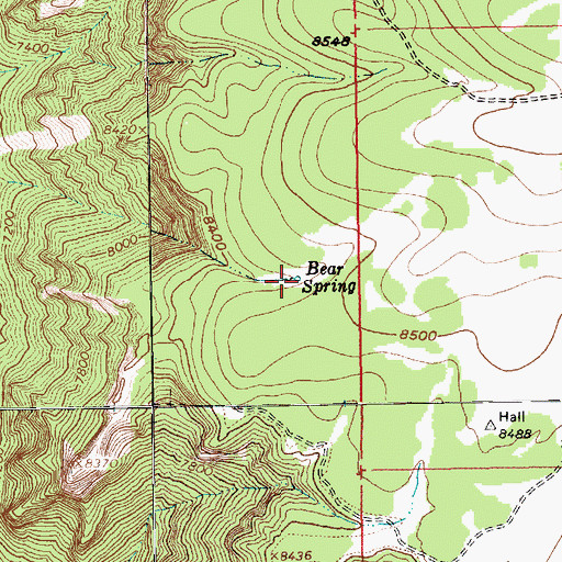 Topographic Map of Bear Spring, UT