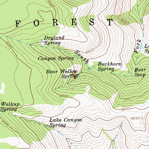 Topographic Map of Bear Wallow Spring, UT
