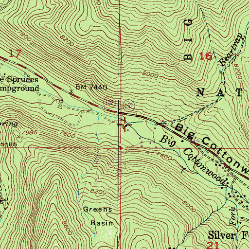 Topographic Map of Beartrap Fork, UT