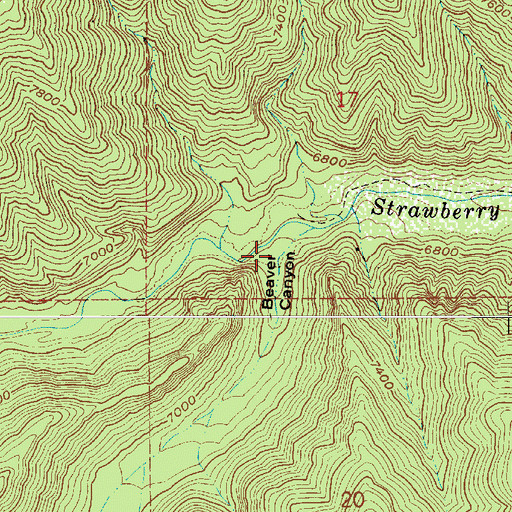 Topographic Map of Beaver Canyon, UT