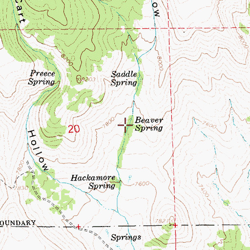 Topographic Map of Beaver Spring, UT