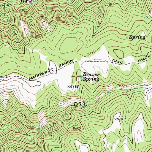 Topographic Map of Beaver Spring, UT
