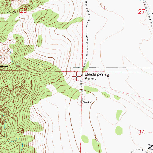 Topographic Map of Bedspring Pass, UT