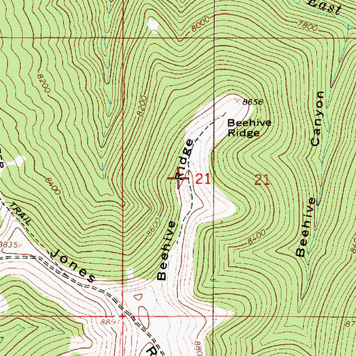 Topographic Map of Beehive Ridge, UT